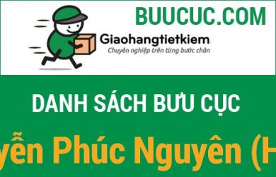 Giao hàng tiết kiệm Nguyễn Phúc Nguyên (HCM)
