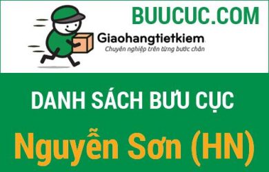 Giao hàng tiết kiệm Nguyễn Sơn (HN)