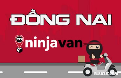 Ninja Van Đồng Nai