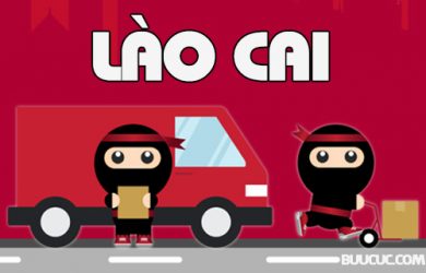 Ninja Van Lào Cai