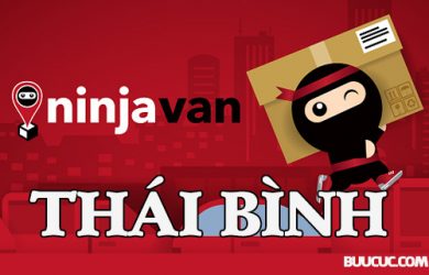 Ninja Van Thái Bình